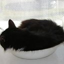  ,  , 51  -  15  2010