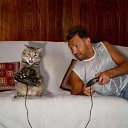 ���� ����, ������, 47 ��� - ��������� 2 ���� 2013 � ������ ���� ����������