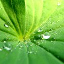 ���� ������, ������, 68 ��� - ��������� 13 ������ 2012 � ������ �XP�