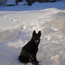 ���� Sherzod, ���������, 42 ���� - ��������� 23 ������ 2013 � ������ ���� ����������