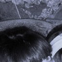 ���� ���������**, ������-��������, 33 ���� - ��������� 22 ������� 2011