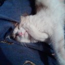 ��� ������ �� ������� ���� ����������