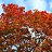 ���� �������, ������ - ��������� 15 ������� 2011