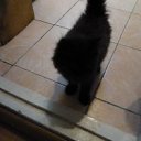 ���� Andre, ������������, 52 ���� - ��������� 28 �������� 2011