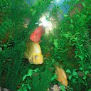 ���� ����, ������ - ��������� 22 ������� 2012 � ������ ���� ��������� �� ���������� �����!!!�