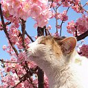 ���� ��������, ������-��-����, 57 ��� - ��������� 18 ������ 2013 � ������ ������ ��������