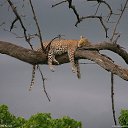 ���� �������� ��������, ������, 68 ��� - ��������� 11 ��� 2013 � ������ ���� ����������