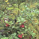 ���� �����, �����-���������, 59 ��� - ��������� 30 ����� 2010 � ������ ��������