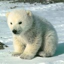 ���� �, ���������, 40 ��� - ��������� 15 ������ 2012