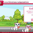  , , 49  -  12  2010   PetLove