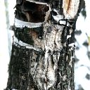 ���� �������, ������������ - ��������� 12 ������� 2011 � ������ ���������� ����