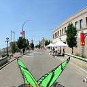 ���� �����, �������, 42 ���� - ��������� 5 ���� 2011 � ������ �3D �������� �� ��������