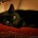 ���� �����, ������ - ��������� 26 ������ 2012 � ������ �����������