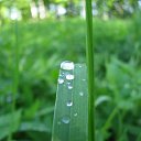 ���� �����, ��������, 45 ��� - ��������� 3 ������� 2010 � ������ ����� �������