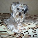 ���� ��������, �����������, 52 ���� - ��������� 3 �������� 2012 � ������ ���� �����