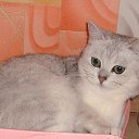 ���� ��� ����, ������, 24 ���� - ��������� 25 ����� 2010 � ������ ���� �����