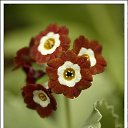 ���� ���, ������������, 31 ��� - ��������� 13 ���� 2010 � ������ �������