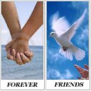   ( -        ,  -  25  2011   