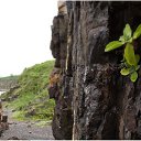 ���� �������, ���������, 48 ��� - ��������� 2 �������� 2012 � ������ �����!!! ����!!!�