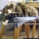 ���� ����, �����-���������, 45 ��� - ��������� 3 ���� 2011 � ������ �������������)�