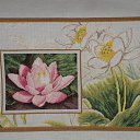 ���� ����, ������� �����, 42 ���� - ��������� 28 ����� 2010 � ������ ���� �������