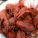 ����� �� ������� �������