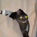  , , 36  -  30  2010       !!!=)