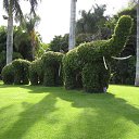 ���� ����, �����-���������, 55 ��� - ��������� 9 ������� 2013 � ������ ���� ����������