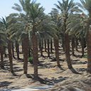 ���� ������ ( ����� � �� ), ����-����, 65 ��� - ��������� 23 ���� 2012 � ������ ��������� �� ������� ����))�