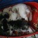 ���� ������� Nik, �����, 63 ���� - ��������� 9 ������ 2010 � ������ ������ � ��� ���������!�