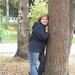 ����� ��������, �����, 53 ����