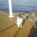  , , 67  -  22  2011   22.04.2011 .   