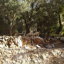 ���� �����, ���������, 52 ���� - ��������� 13 ���� 2013 � ������ ���� ����������