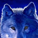 ���� ���������, ���������, 54 ���� - ��������� 21 ��� 2013 � ������ ���� ����������