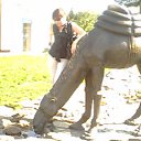 ���� �����, ����� - ��������� 1 ������� 2010 � ������ ���� ����������