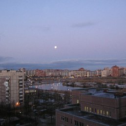 ���� ������, �����-���������, 49 ��� - ��������� 8 ��� 2012