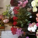  ,  , 41  -  5  2011   ))