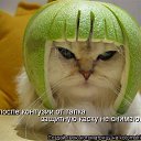���� �����, ������ �����, 50 ��� - ��������� 2 ������ 2009 � ������ ��������� ��������