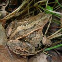 ���� Kasatkin, ����������, 48 ��� - ��������� 30 ��� 2011 � ������ �������