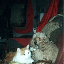 ���� ��, ��������, 59 ��� - ��������� 28 ������ 2009 � ������ ���� ���������