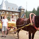 ���� ������, �������� - ��������� 15 ������� 2010 � ������ �2010�