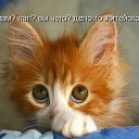 ���� ������, ������, 46 ��� - ��������� 5 ������ 2010 � ������ ������))�