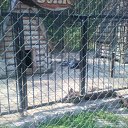  D.s., , 38  -  28  2011    2010, 