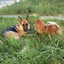 ���� �������, ������������, 48 ��� - ��������� 2 ���� 2012 � ������ ���� ����������