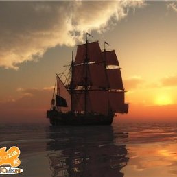 ���� �����, ����������� - ��������� 23 ������� 2011