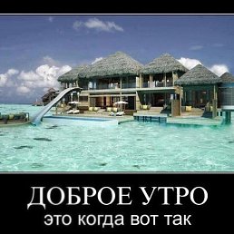 ���� Mikl, Tampa, 43 ���� - ��������� 7 ������ 2013