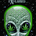 ���� ����, �����������, 39 ��� - ��������� 11 �������� 2011