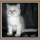  Melena, , 38  -  28  2010    !