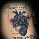 ���� �����, �������, 42 ���� - ��������� 1 ��� 2011 � ������ ����ӻ