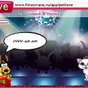  Maksym, , 48  -  15  2011   PetLove